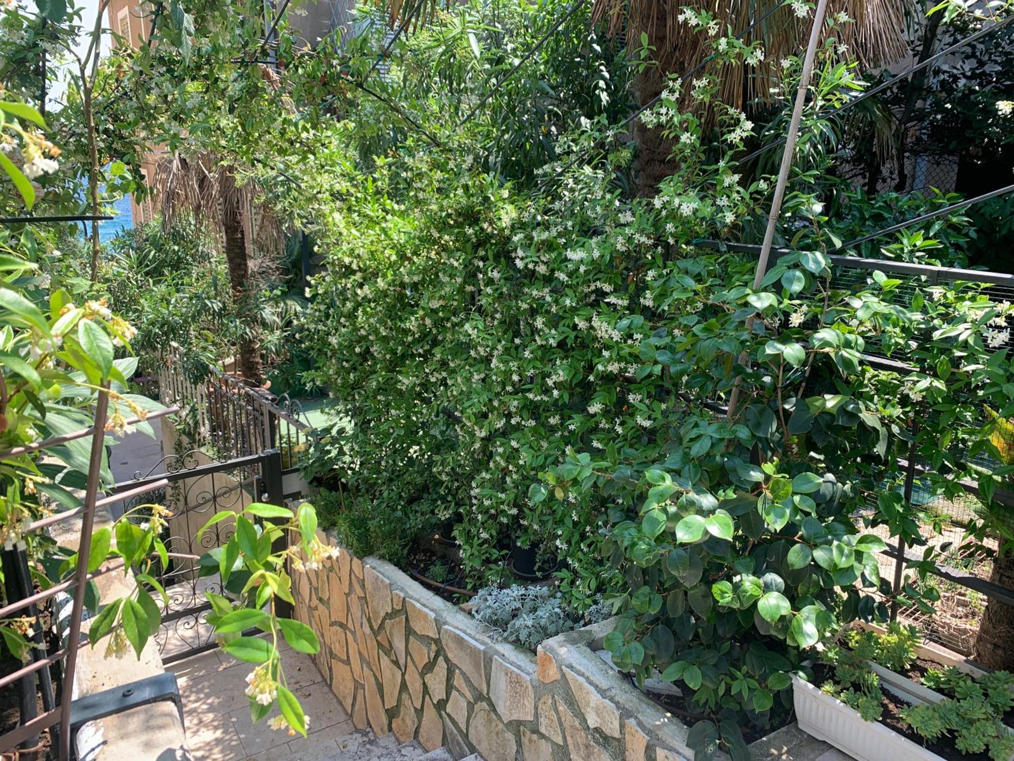 Artspace Location-Opatija-3 Bedroom House With Rooftop Garden By Beach Esterno foto